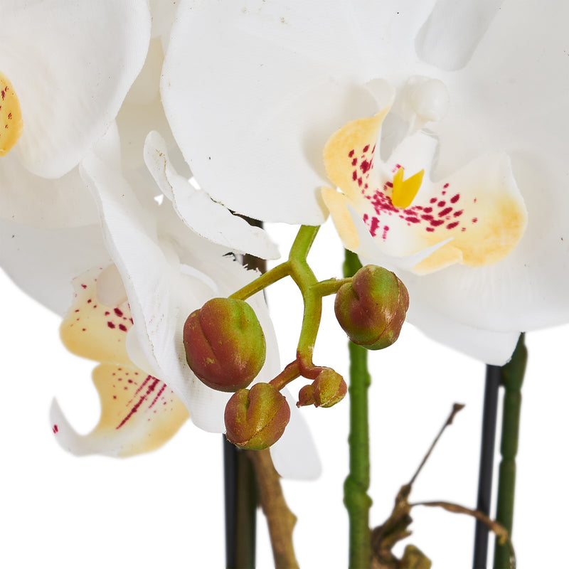 Orkide H42 cm. hvid