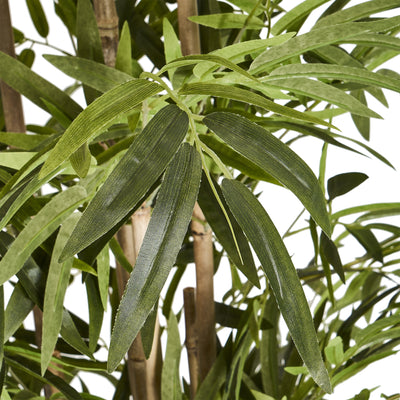 Bamboo plante H190 cm.