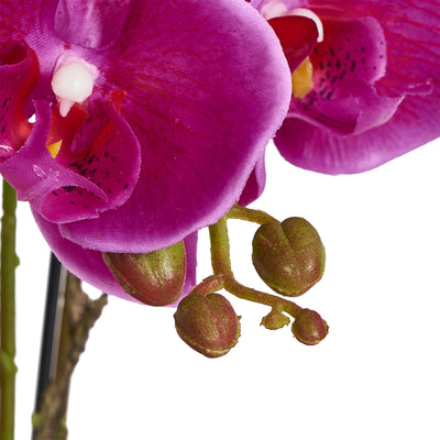 Orkide H42 cm. lilla