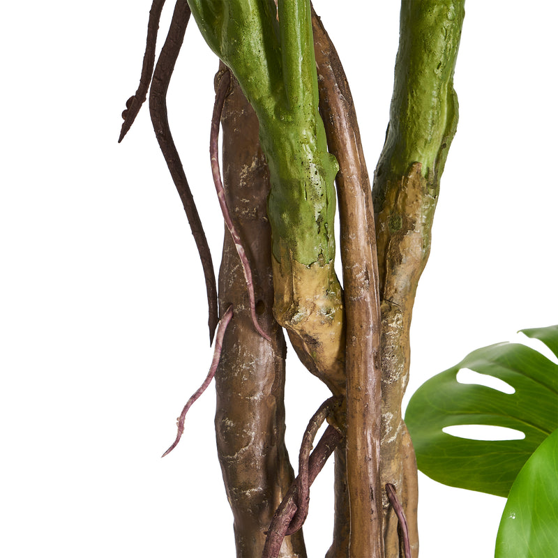 Monstera gulvplante H180 cm.