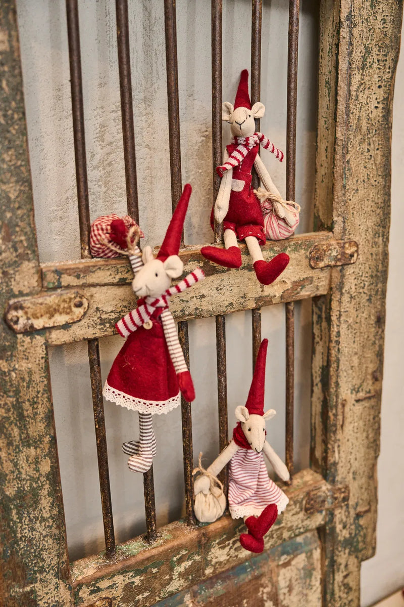 Speedtsberg Noa & Nelli nisser