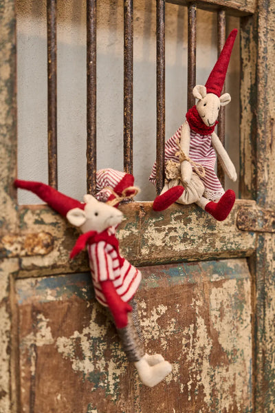 Speedtsberg Noa & Nelli nisser