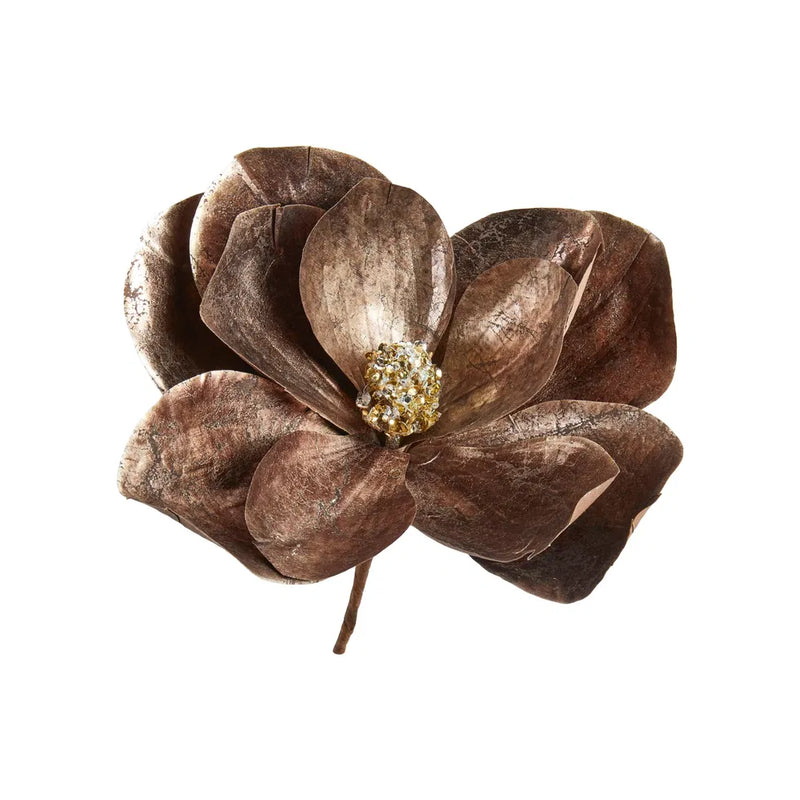Speedtsberg magnolia hoved