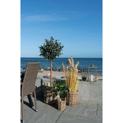 House Nordiv rattan kurv