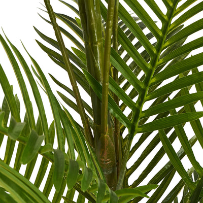 Palm gulvtræ H220 cm.