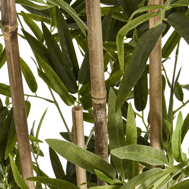 Bamboo plante H190 cm.