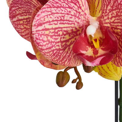 Orkide H42 cm. gul/rød
