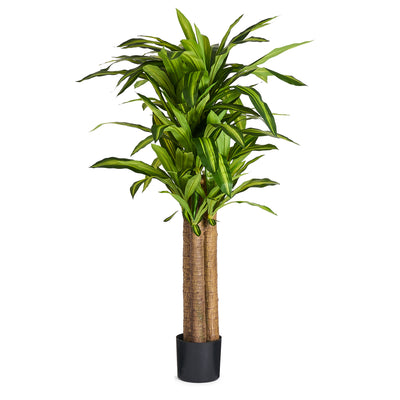Happy Plant gulvplante H150 cm.
